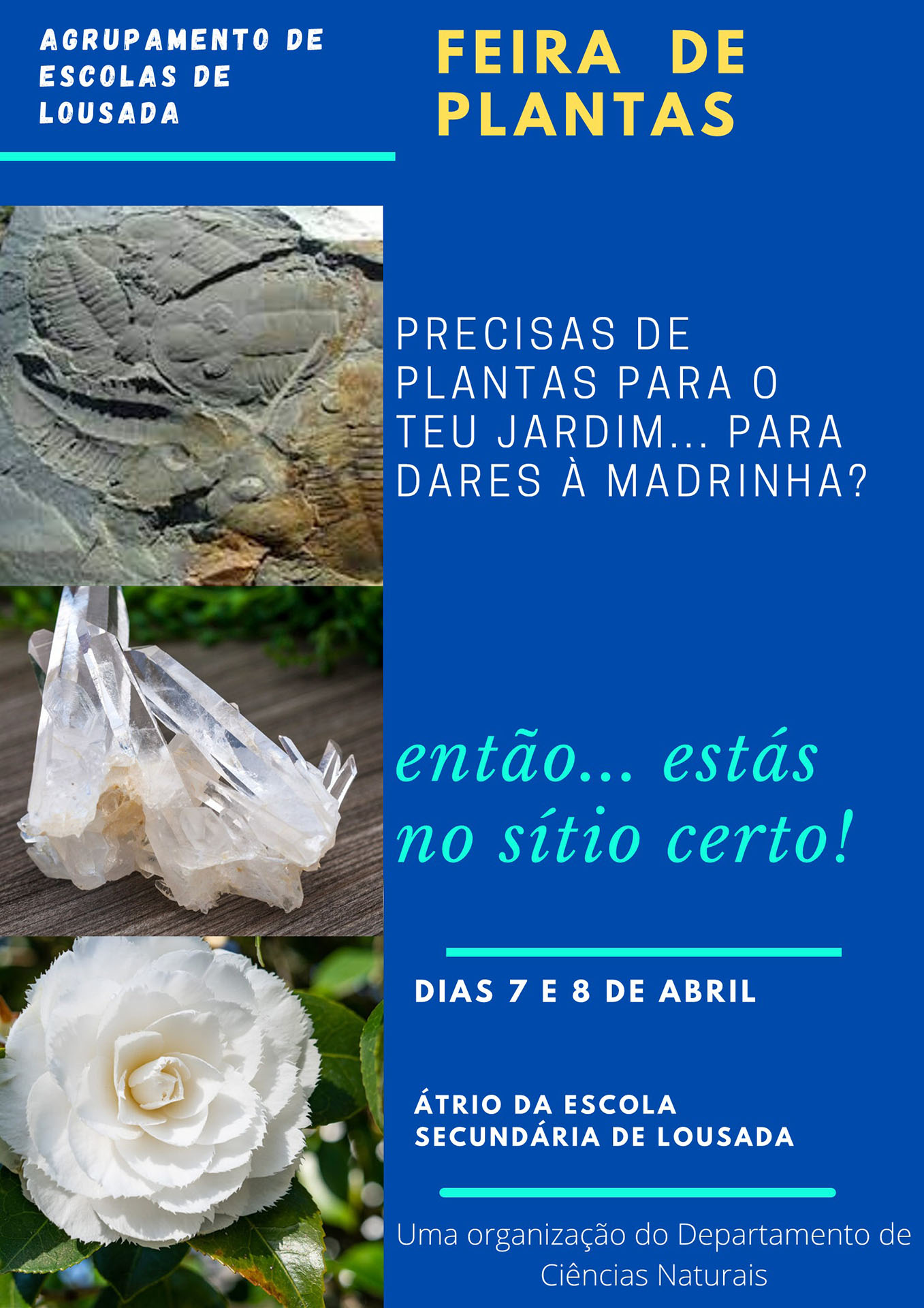04_04_Preto_e_Ciano_Moderno_Feira_Ciências_Evento_Cartaz.jpg