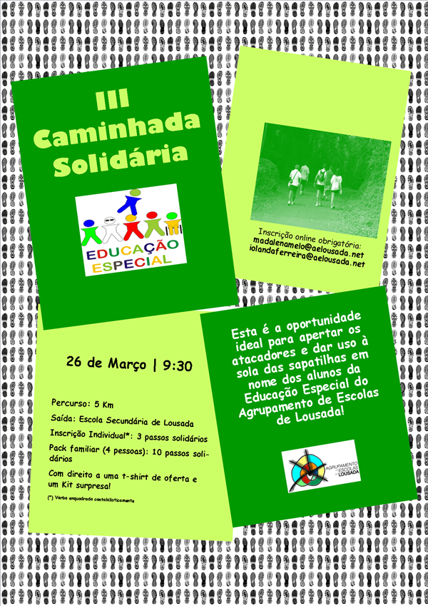 17 01 31 icon maxi iii caminhada solidaria educacao especial