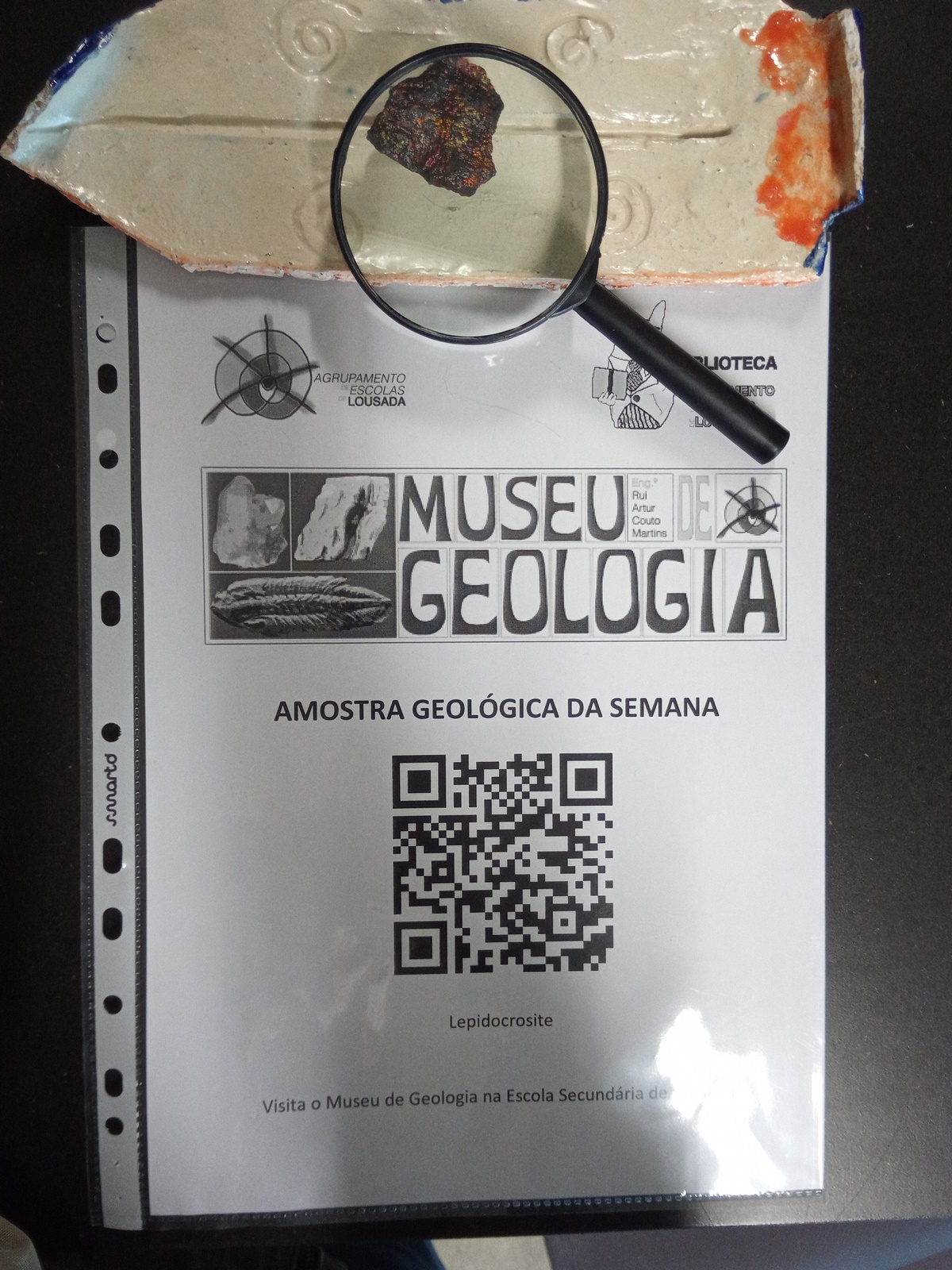 19 02 11 icartaz amostra semana 7