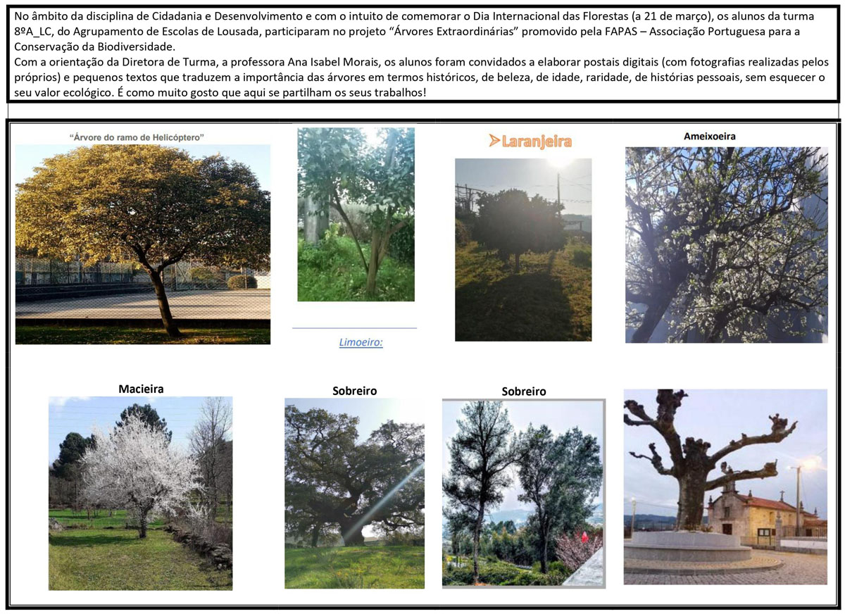 21 03 24 Árvores Extraordinárias