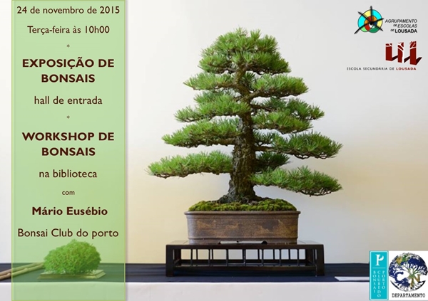 15 11 23 icon maxi exposicao bonsais